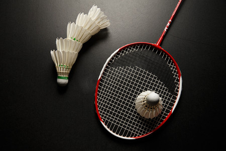 球队的法国 球队的法国